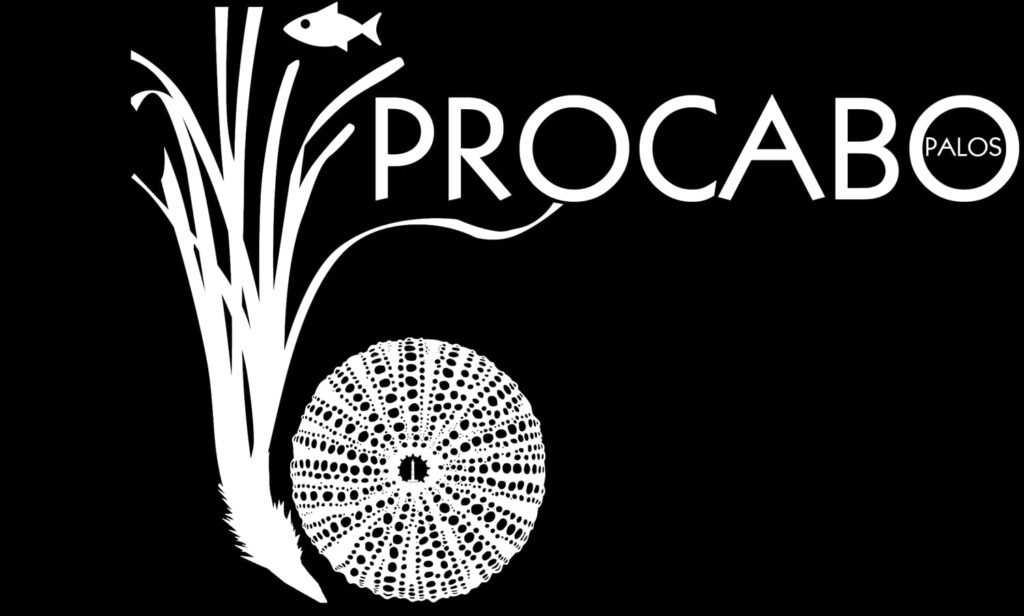 logo Procabo