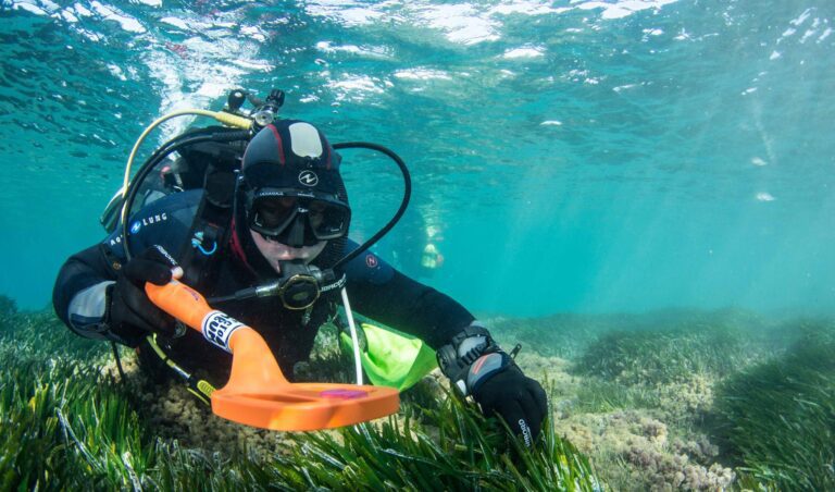 🏆 El Proyecto Plumbum de la Asociación Hippocampus, ganador del Premio BlueMissionMed Society4Med 2025