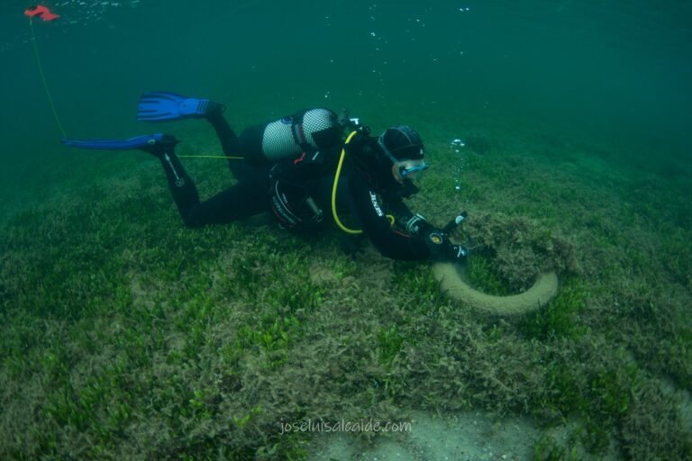 Mediterráneo Responsable (2023–2025): resultados del proyecto presentados en Sureste Costa