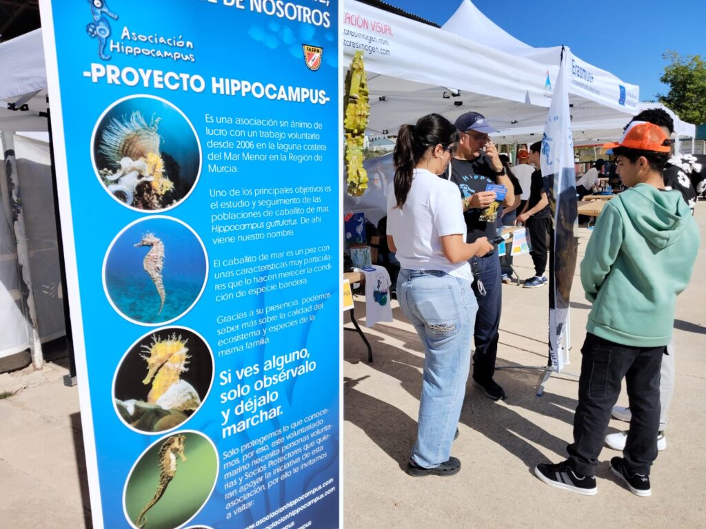 La Asociación Hippocampus participa en la feria educativa “Misión: Cuidar y Convivir” en Sucina